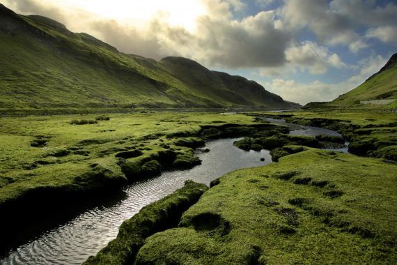 highland