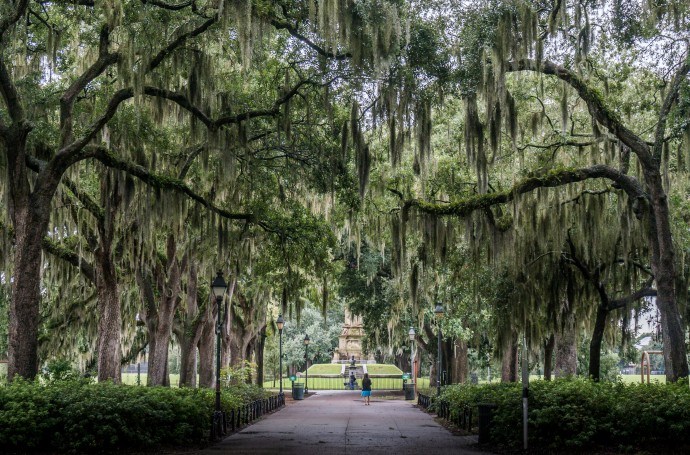 Road trip aux Etats-Unis #3 // Savannah la belle